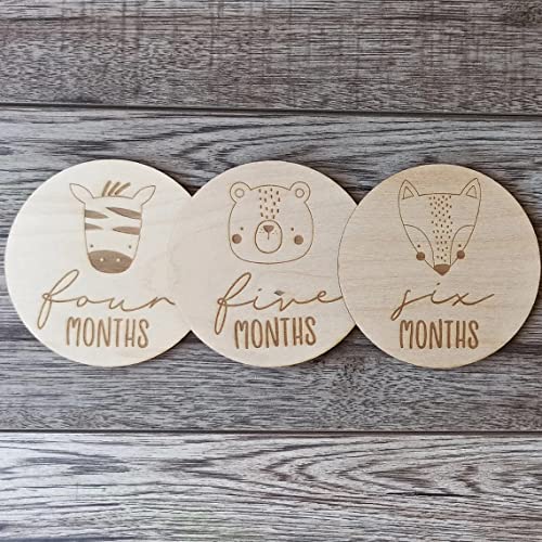 Haoser Baby Photography Props - Baby Gift Set, 12 Pcs Baby Monthly Milestone Wooden Card Infants Photography Props Kids Newborn Shower Gifts - Image 4