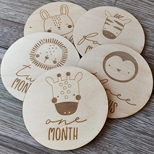 Haoser Baby Photography Props - Baby Gift Set, 12 Pcs Baby Monthly Milestone Wooden Card Infants Photography Props Kids Newborn Shower Gifts - Image 5