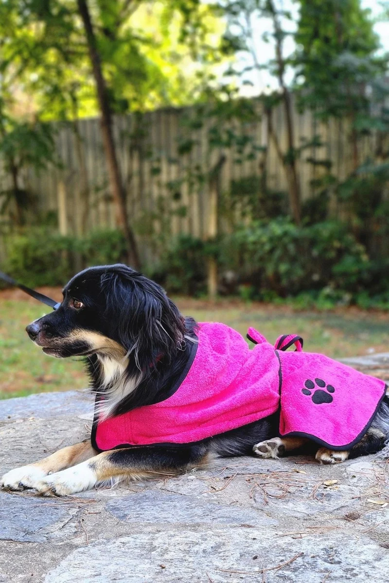 كوتن كونسيبت 2-Pack Cotton and Hooded Dog Bathrobe