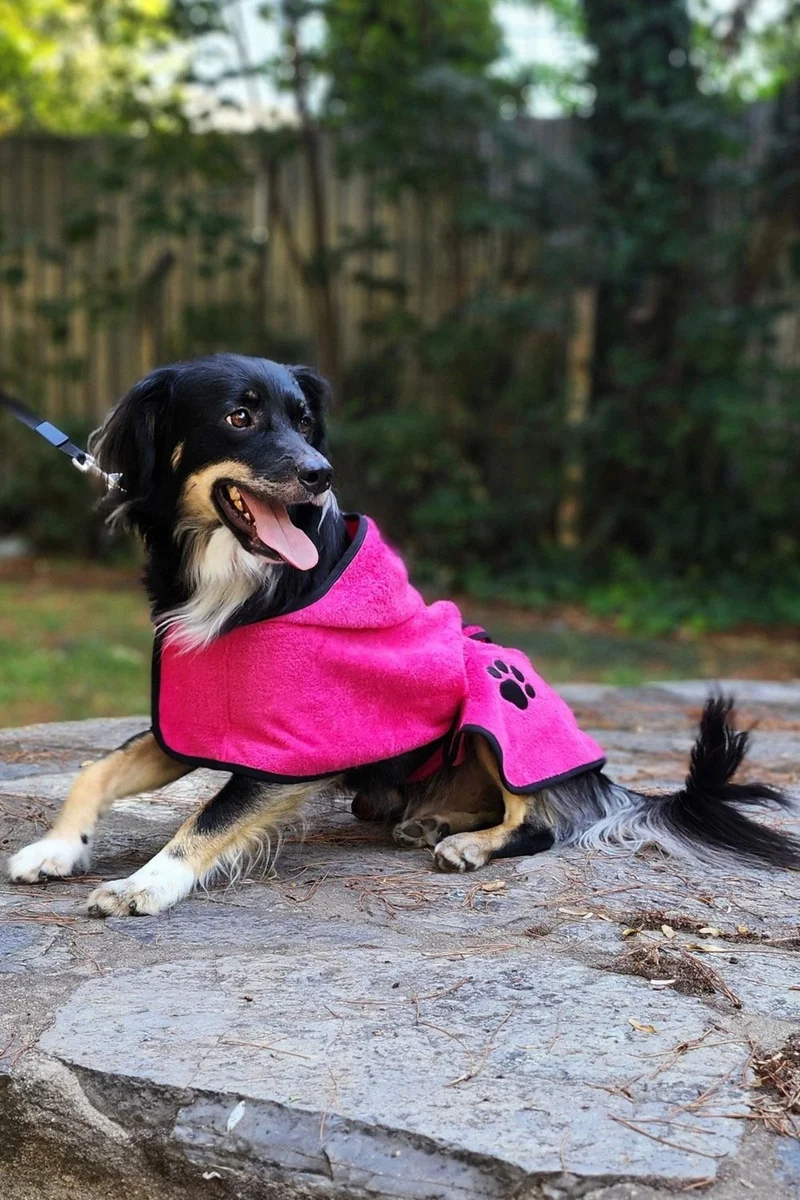 كوتن كونسيبت 2-Pack Cotton and Hooded Dog Bathrobe