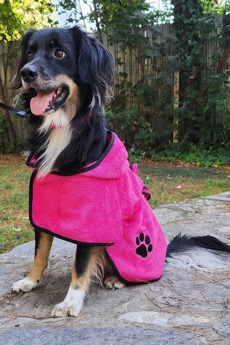 كوتن كونسيبت 2-Pack Cotton and Hooded Dog Bathrobe