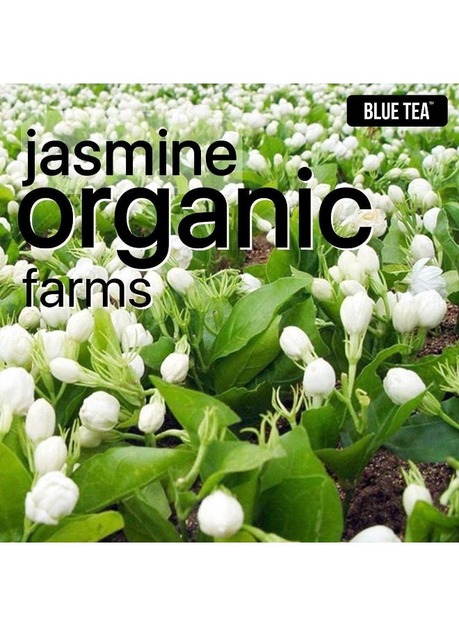 الشاي الأزرق شاي الياسمين 30 جرام | 30 كوب | التخسيس وتخفيف التوتر | غير مر | فارم فريش | شاي أعشاب خالي من الكافيين | مضادات الأكسدة المرتكزة على الزهور | جرة PET قابلة لإعادة الاستخدام - Image 2