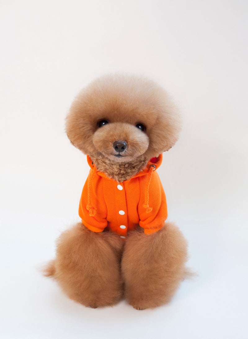 Loquat Pet dog hoodie with a hat Orange - Image 1