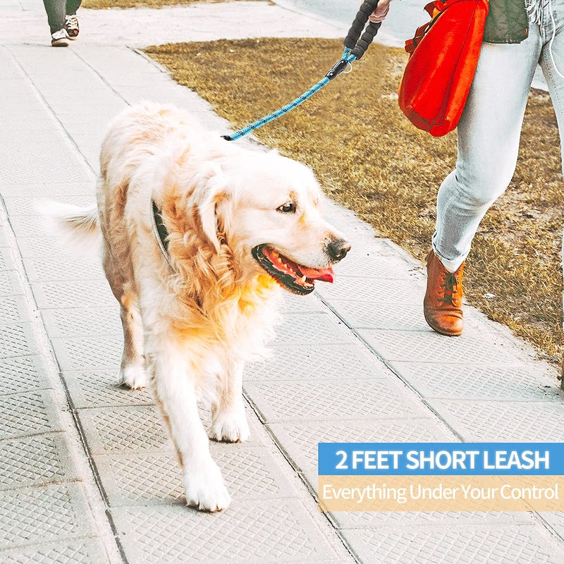 BAAPET 2/4/5/6 FT Dog Leash with Comfortable Padded Handle and Highly Reflective Threads for Small Medium and Large Dogs (2FT-1/2'', Blue) - Image 5