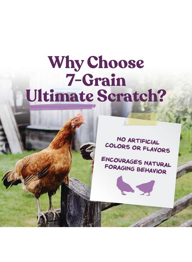 Manna Pro 7Grain Ultimate Chicken Scratch  Scratch Grain Treat For Chickens And Other Birds  NonGmo Natural Ingredients  10 Lbs - Image 2