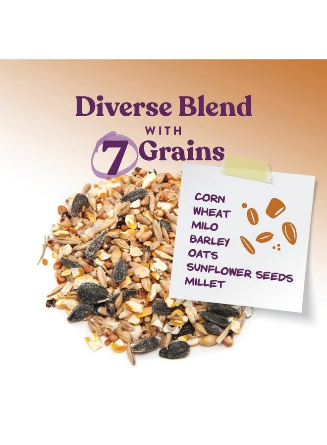 Manna Pro 7Grain Ultimate Chicken Scratch  Scratch Grain Treat For Chickens And Other Birds  NonGmo Natural Ingredients  10 Lbs - Image 3