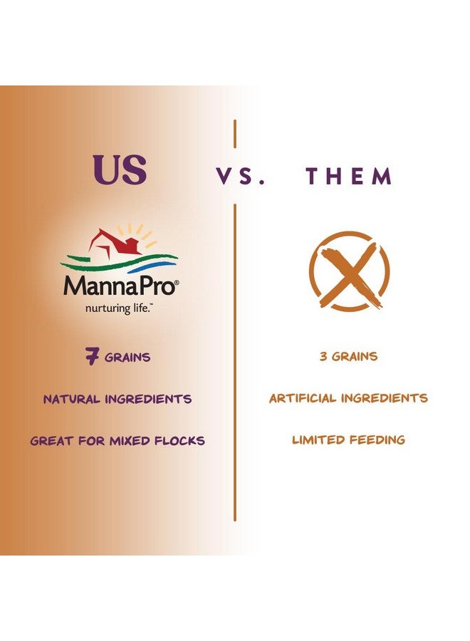 Manna Pro 7Grain Ultimate Chicken Scratch  Scratch Grain Treat For Chickens And Other Birds  NonGmo Natural Ingredients  10 Lbs - Image 4