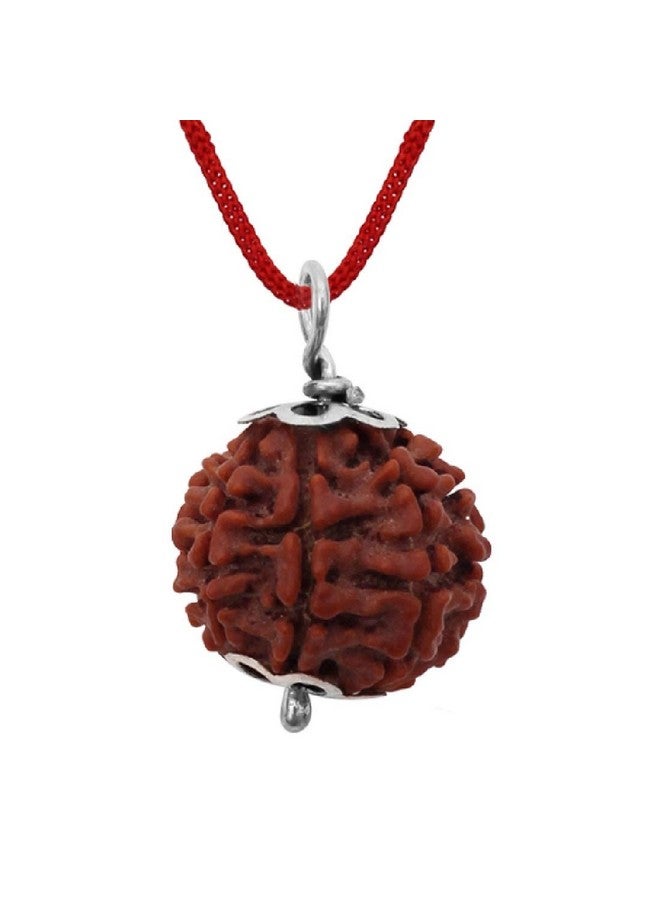 ASTRODIDI أسترويدي 7 موكهي رودراکشا أصلي معتمد قلادة مطلية بالفضة | خرزة رودراکشا نيبالية طبيعية بسبعة وجوه | فوائد فلكية | تصميم يونيسكس للرجال والنساء - Image 2