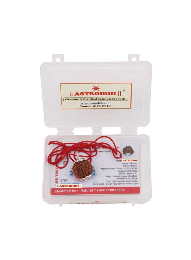 ASTRODIDI أسترويدي 7 موكهي رودراکشا أصلي معتمد قلادة مطلية بالفضة | خرزة رودراکشا نيبالية طبيعية بسبعة وجوه | فوائد فلكية | تصميم يونيسكس للرجال والنساء - Image 4