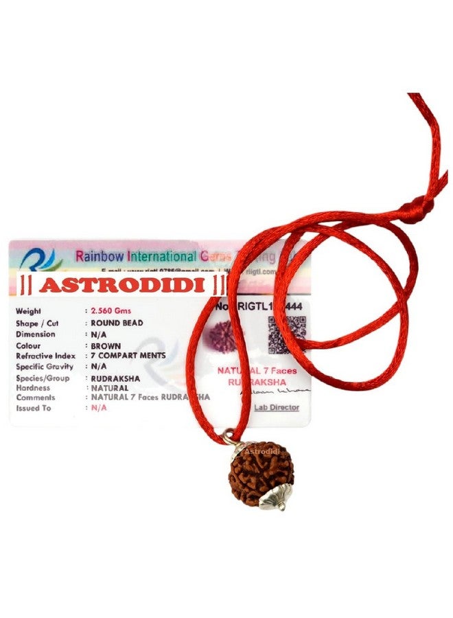 ASTRODIDI أسترويدي 7 موكهي رودراکشا أصلي معتمد قلادة مطلية بالفضة | خرزة رودراکشا نيبالية طبيعية بسبعة وجوه | فوائد فلكية | تصميم يونيسكس للرجال والنساء - Image 1