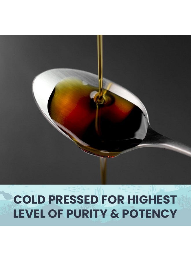 Leaping Lynx Pure Organic Black Cumin Seed Oil Capsules 1000mg, Cold-Pressed Black Seed Oil Nigella Sativa with Max Thymoquinone, 120 Capsules, Rich in Omega-6 & Omega-9, Black Cumin Oil for Immune & Brain Support - Image 2