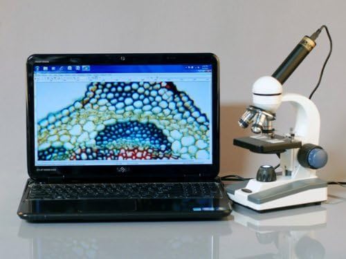 AmScope AmScope 40X1000X Student Biological Compound Monocular Microscope w Metal Framework Optical Glass Lenses Mechanical Stage Coarse  Fine Focus  - Image 3