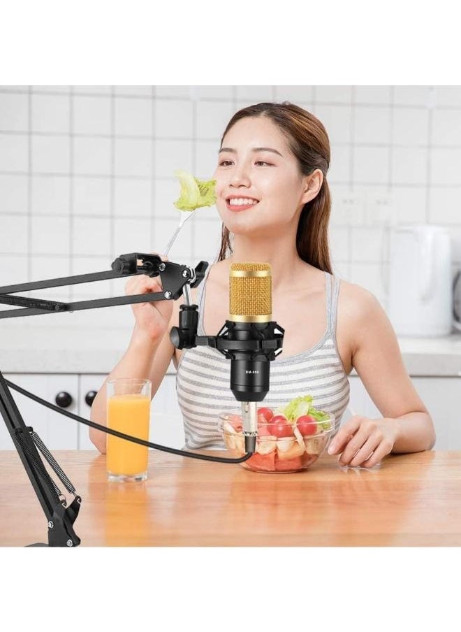 Executive LLC - BM800 Condenser Microphone Mic Set with V8 Audio Mixer Sound Card Microphone Stand and Double Layer Pop Filter for Live Streaming Gaming Voice Recording Singing Smule Star Maker - Image 1