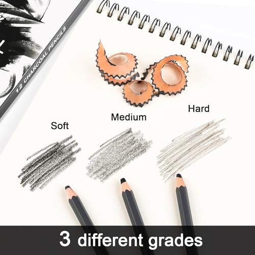 Sunshilor Professional Charcoal Pencils Drawing Set, 12 Pieces Soft Medium Hard Charcoal Pencils for Drawing, Sketching, Shading, Artist Pencils for Beginners & Artists - Image 3