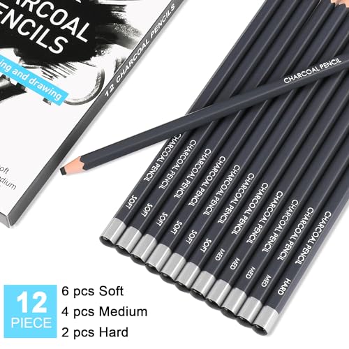 Sunshilor Professional Charcoal Pencils Drawing Set, 12 Pieces Soft Medium Hard Charcoal Pencils for Drawing, Sketching, Shading, Artist Pencils for Beginners & Artists - Image 2