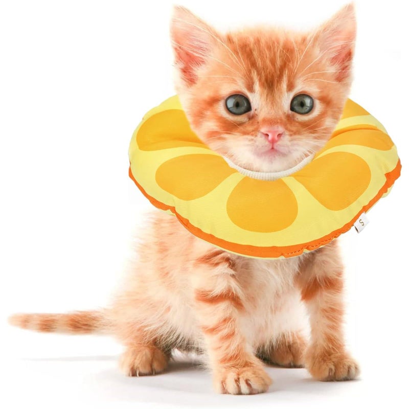Jevnd Kitten Cones After Surgery 0-6 Months, Donut Extra Small Kitten Cone Collar Soft to Stop Licking Neck, Elizabethan Kittens e Collar for Recovery, xs Small Cat Cone Spray, Pet Soft Cone for Cats - Image 1