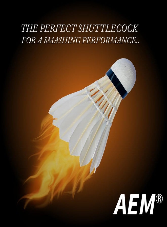 AEM™ Apollo Flight Badminton Shuttlecock Straight Feather Pack of 10|| - Image 4