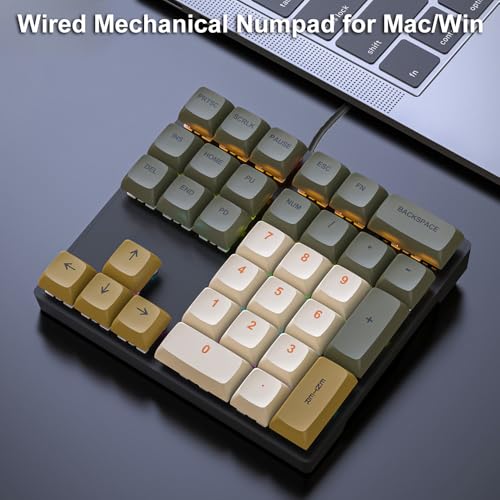 LINKEET Mechanical Numpad Rainbow Backlit Clicky Blue Switches Wired USB Number Pad 33-Key NKRO Numeric Keypad with XDA PBT Keycaps External Keyboard Num Pad for Laptop, Mac - Brown Grey - Image 2