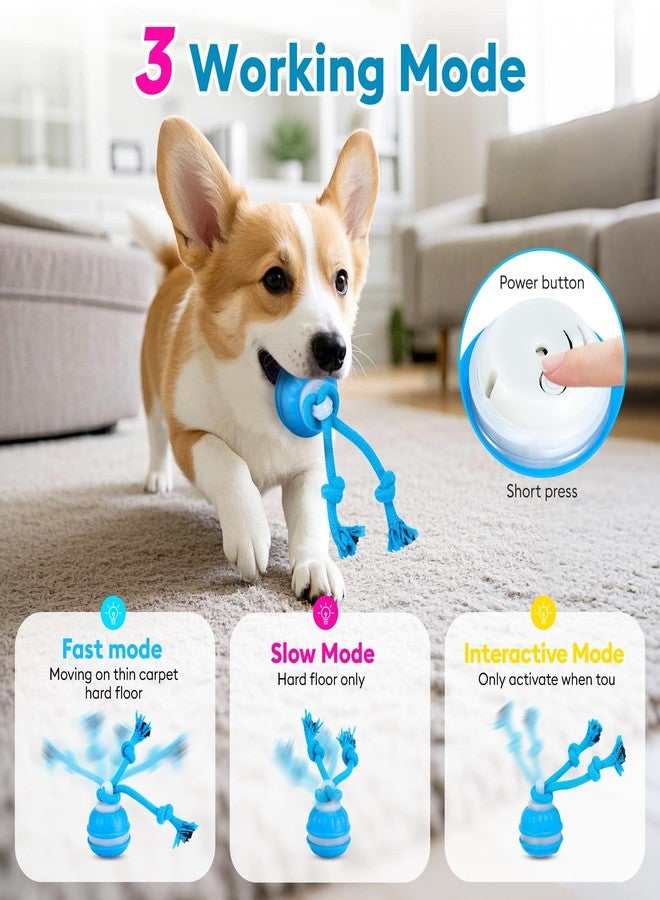 R RUCKERCO Interactive Dog Toys for Dogs - Automatic Moving Dog Toy Ball, Smart Dog Puzzle Toy for Boredom & Enrichment, Durable Dog Toys for Small Dogs & Aggressive Chewers, Puppy Interactive Toys - Image 2