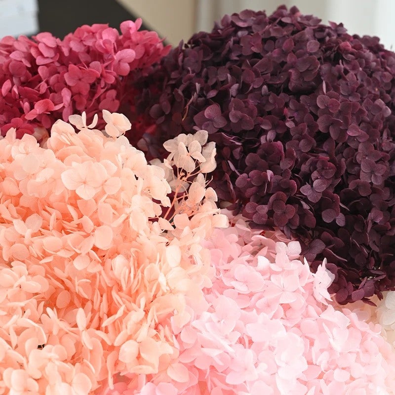 Bluejw Handmade Hydrangeas Dried Flowers for Home Decor - New Year, Christmas, Thanksgiving - DIY Crafting & Preserved Plants - Image 4
