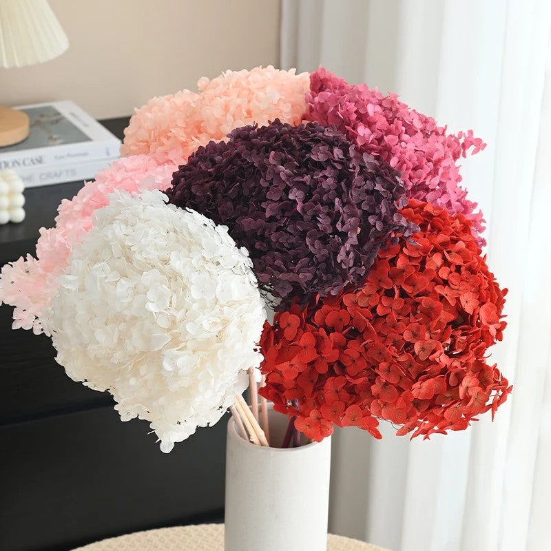 Bluejw Handmade Hydrangeas Dried Flowers for Home Decor - New Year, Christmas, Thanksgiving - DIY Crafting & Preserved Plants - Image 2