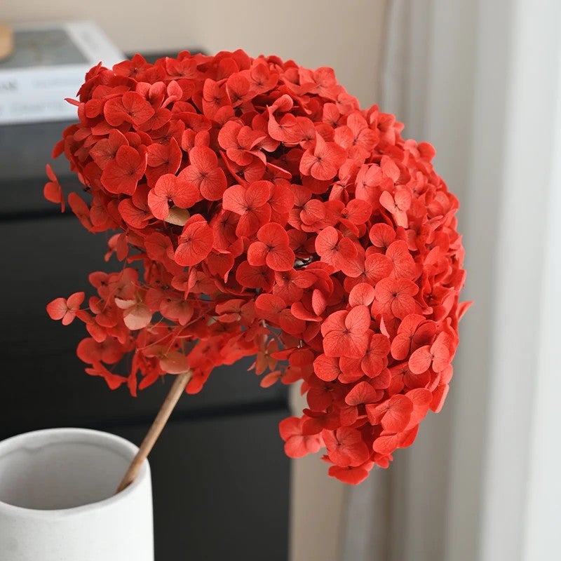 Bluejw Handmade Hydrangeas Dried Flowers for Home Decor - New Year, Christmas, Thanksgiving - DIY Crafting & Preserved Plants - Image 5
