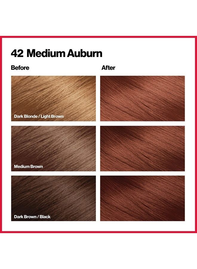 Revlon ألوان حرير جميلة، صبغة شعر دائمة بتقنية هلام 3D وكيراتين، تغطية 100% للشعر الرمادي، 42 بني متوسط - Image 2