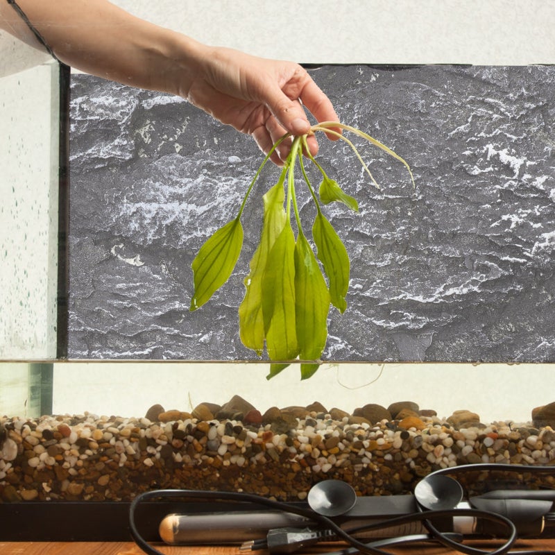 Terrarium Background Snake Habitat Decoration Reptile Background 3D Decor - Image 4
