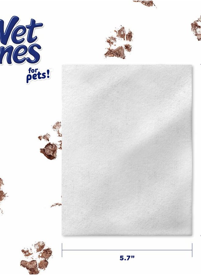 Wet Ones - for Pets Cat Cleaning Wipes - Fresh Scent Cat Grooming Wipes with Aloe Vera - Safe Cat Hygiene Supplies - Cat Fur Cleaner - Cat Dander Wipes - Kitten Wipes - Pet Cleaning Supplies - 50 Count - Image 1