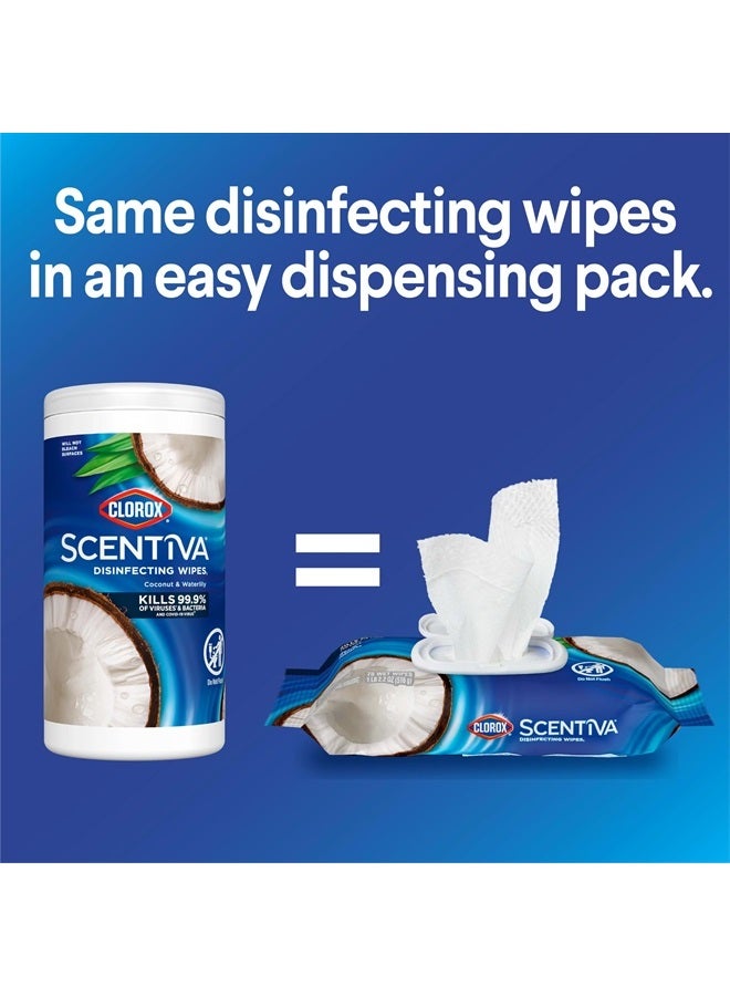 Clorox مناديل سينتيفا، مناديل تنظيف خالية من المبيض، مستلزمات منزلية، نسيم المحيط وجوز الهند، 75 قطعة (عبوة من 3)  - Image 3