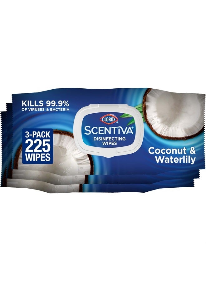 Clorox مناديل سينتيفا، مناديل تنظيف خالية من المبيض، مستلزمات منزلية، نسيم المحيط وجوز الهند، 75 قطعة (عبوة من 3)  - Image 1