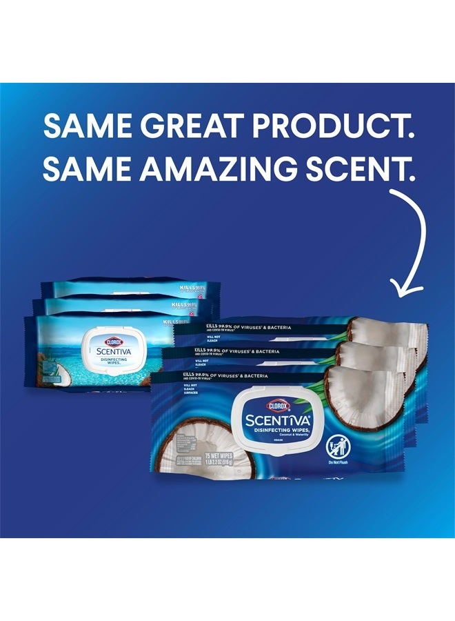 Clorox مناديل سينتيفا، مناديل تنظيف خالية من المبيض، مستلزمات منزلية، نسيم المحيط وجوز الهند، 75 قطعة (عبوة من 3)  - Image 2