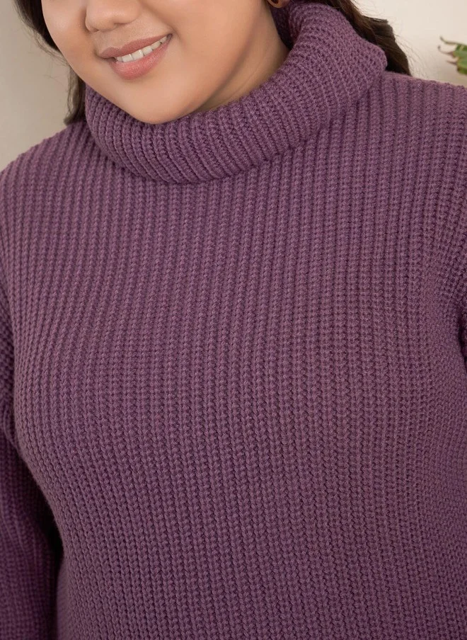 CURVY STREET Mauve Ribbed Turtle Neck Pullover for Women