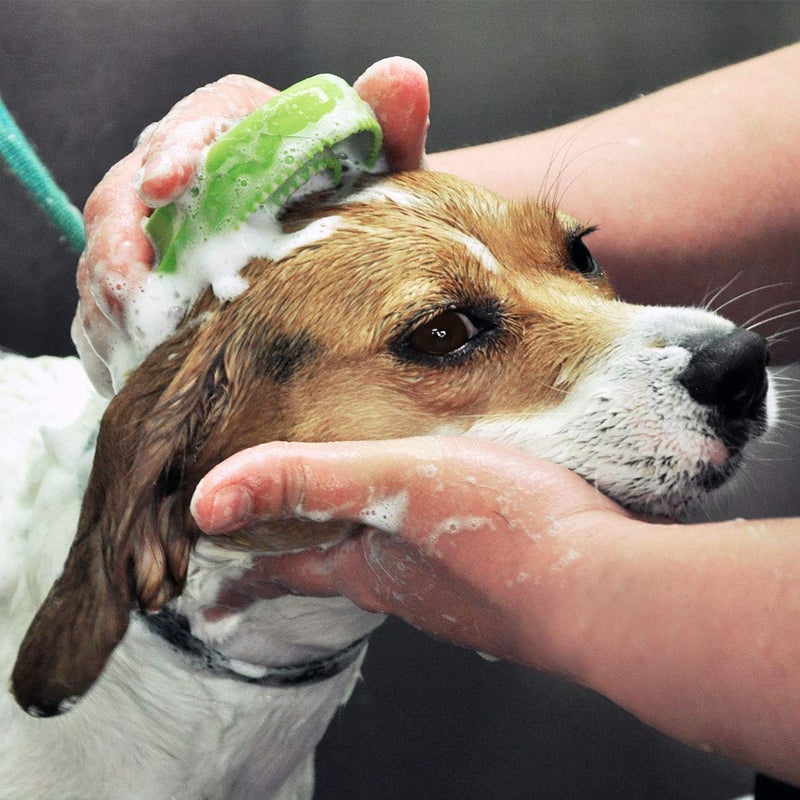 Coastal Pet Safari Comfort Grip Curry Brush for Dogs - Dog Bath and Shampoo Brush and Massager for Indoor & Outdoor Dogs with Short Hair - One Size - Image 3