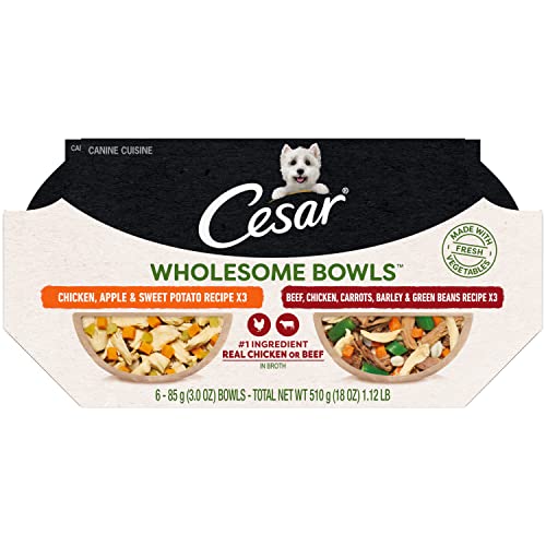 Cesar Wholesome Bowls Adult Wet Dog Food, Beef, Chicken, Carrots, Barley & Green Beans Recipe and Chicken, Apple & Sweet Potato Recipe Variety Pack, 3 oz. (6 Count, Pack of 1) - Image 1