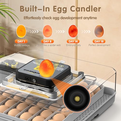 WONEGG Incubators for Hatching Eggs Egg Incubator for Lab Home Farm with Automatic Egg Turning for Chicken, Ducks, Goose, Quail 48 Eggs - Image 3