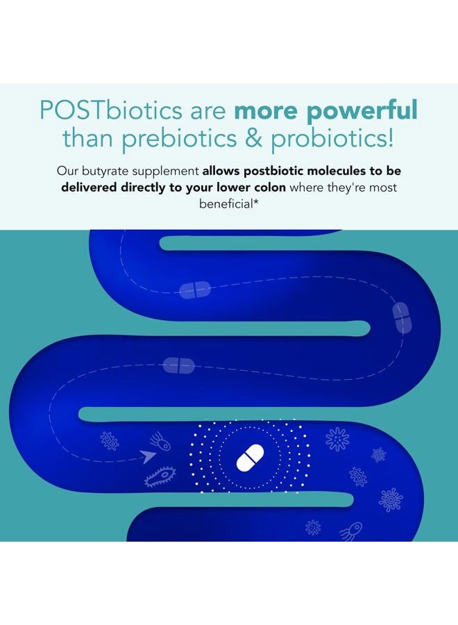 Sane MD - Viscera 3 Postbiotics with Tributyrin - Sodium Butyrate Supplement for Gas and Bloating Relief - Gut Health - IBS & Leaky Gut Butyric Acid Supplement - NSF Certified - 30 Capsules - Image 3