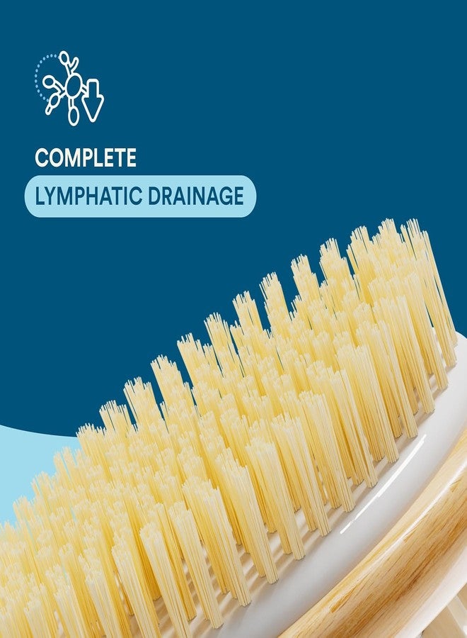 Rkenza 2-in-1 Long Handle Bath Brush (Pack of 1) | Exfoliating Bath Brush with Natural Bristles & Massage Nodes | Improves Blood Circulation | Removes Dead Skin Cells | Anti-Cellulite Shower Brush - Image 4