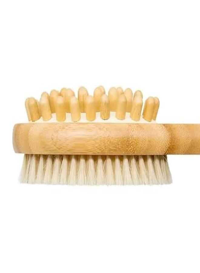 Rkenza 2-in-1 Long Handle Bath Brush (Pack of 1) | Exfoliating Bath Brush with Natural Bristles & Massage Nodes | Improves Blood Circulation | Removes Dead Skin Cells | Anti-Cellulite Shower Brush - Image 5