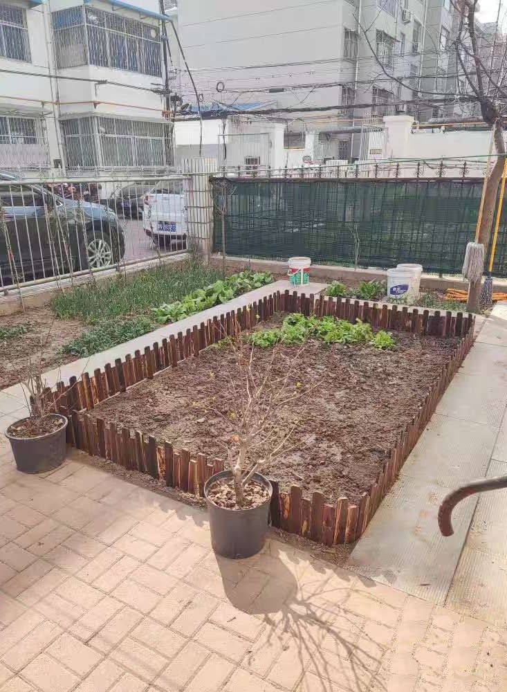 LINGWEI Wooden Picket Fence Garden Edging Bordre Brown 120x30x1cm - Image 5