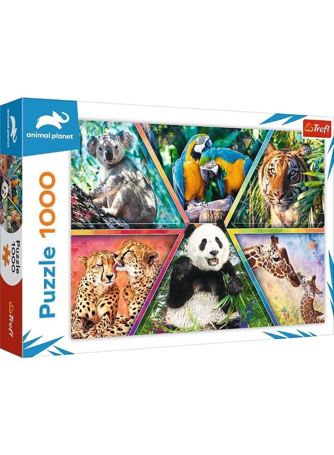 تريفل بازل مملكة عالم الحيوان 1000 قطعة - 10672 - Image 1