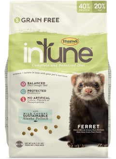 HigginS Pet Food Intune Ferret 4Lb 