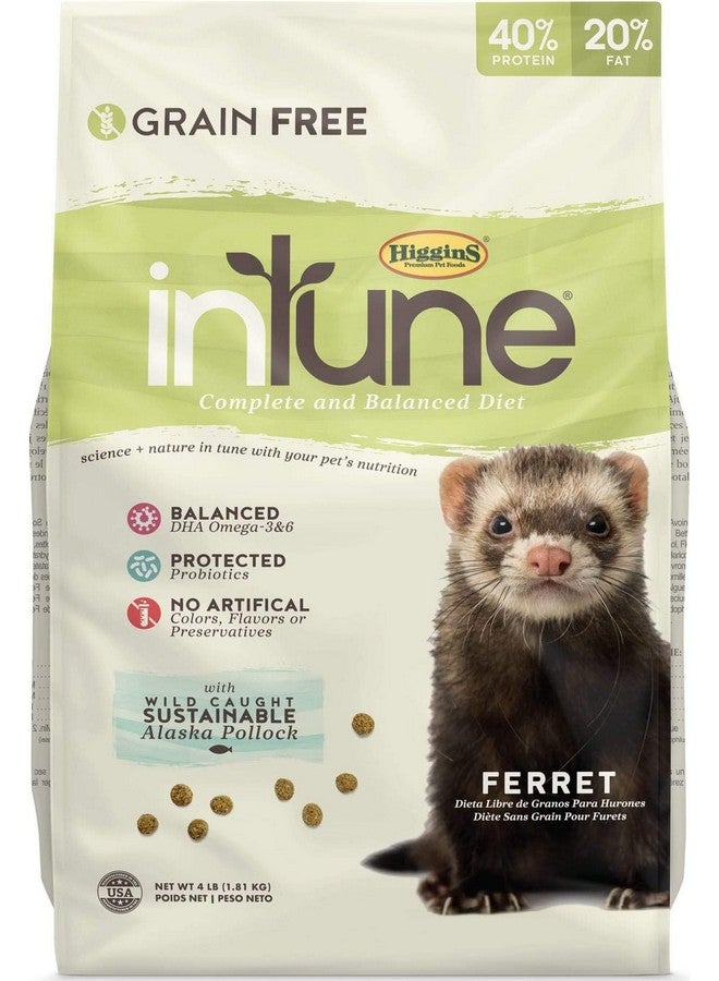 Pet Food Intune Ferret 4Lb