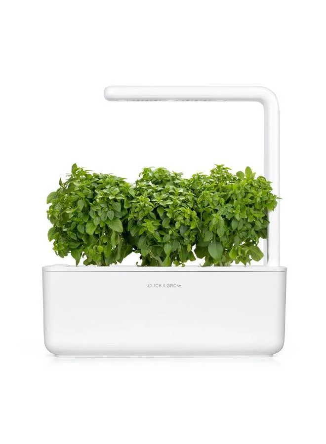 Click & Grow عبوات نبات الريحان القزم  قطع