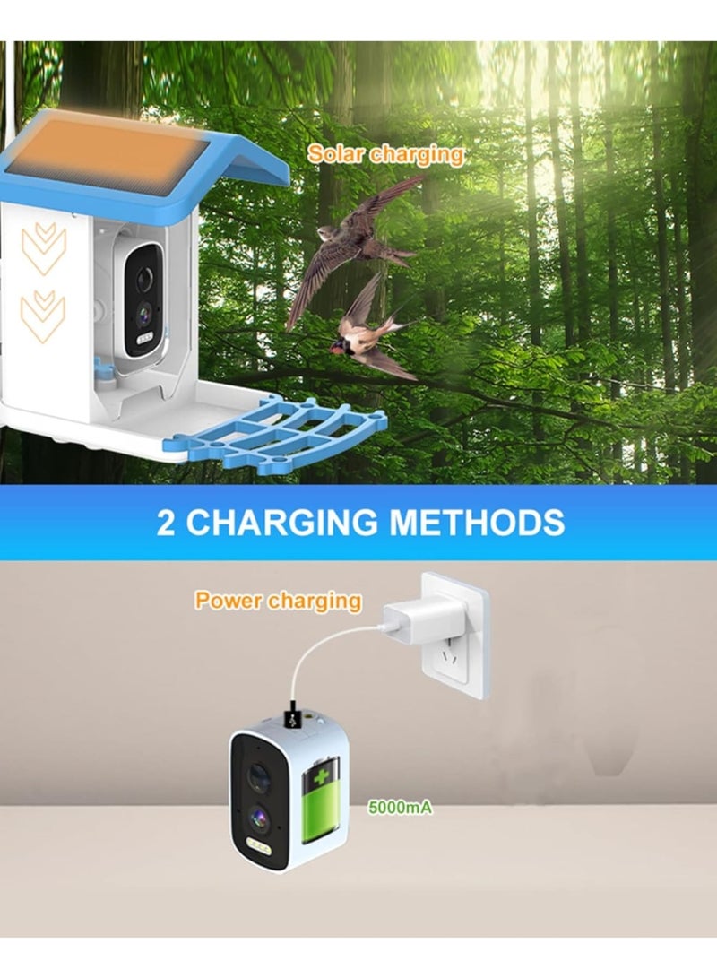 Zikra Smart Bird Feeder with 4MP 2.5K HD Camera, Solar Panel, AI Bird Detection Technology, Auto Video Capture, App Notifications, Built-In Two-Way Microphone, Ideal for Bird Watching - Image 4