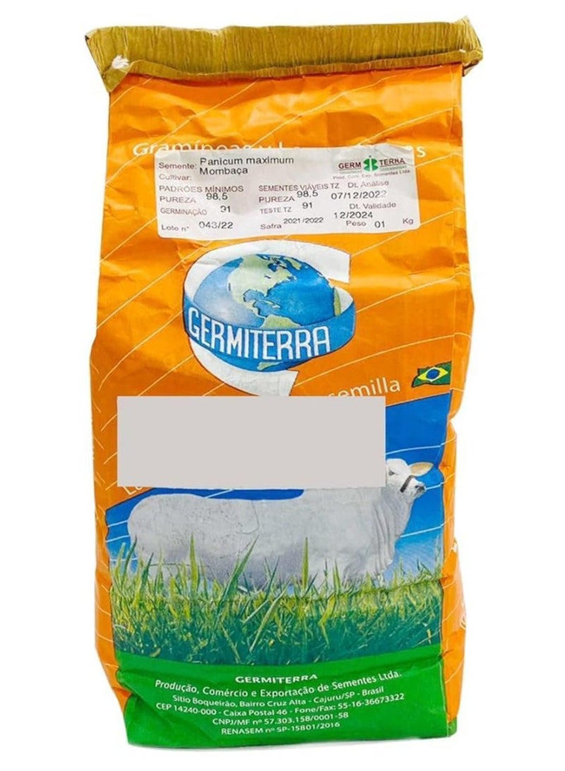بذور عشب جرميتررا بونيكام مومباسا F1 / بانكوم بيمباسا من تنزانيا، جودة ممتازة، 1 كجم، صنع في البرازيل