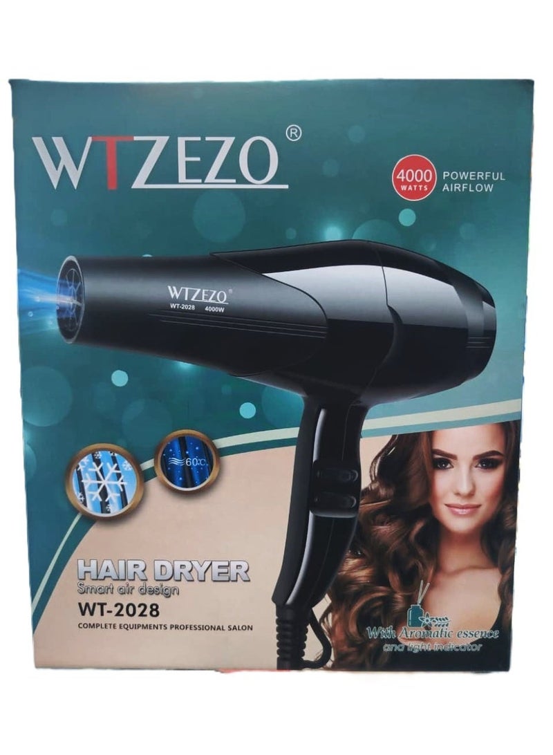 WTZEZO Hair Dryer WT-2028, 4000W Professional Salon - Image 1