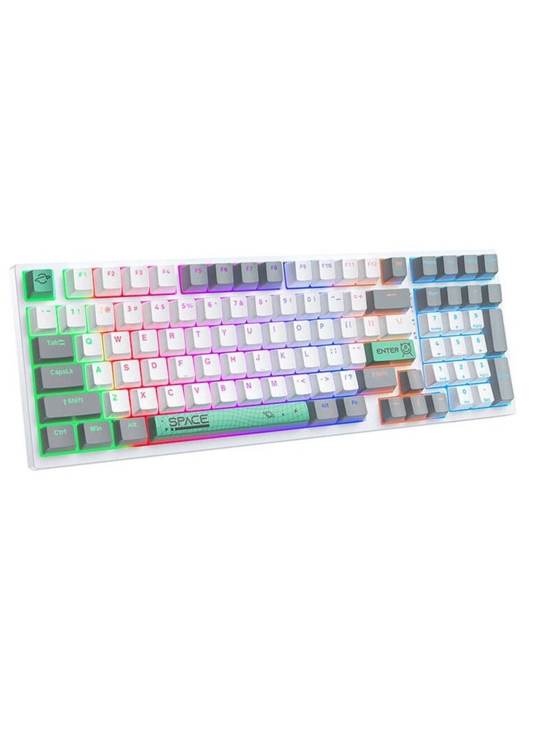 G38 80% Full Gaming Mechanical Keyboard USB Wired – BROWN Mechanical Switches – RGB Rainbow Backlighted -98 Keys Arabic / English – Double injection Funny & Cute Keycap Design Illumination – for PC, Desktop, Laptop, Mac | White