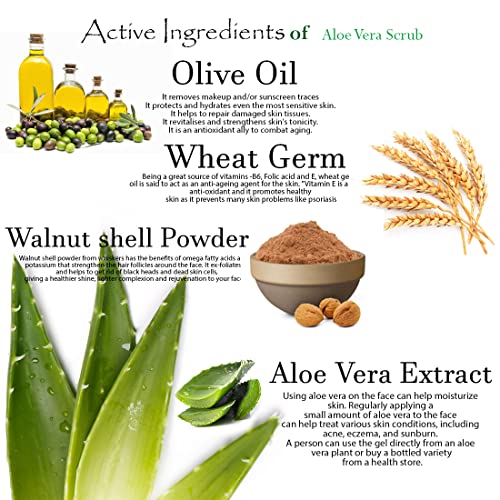 Lilium Active Anti-Oxidants AloeVera Face Scrub, 500ML - Image 2
