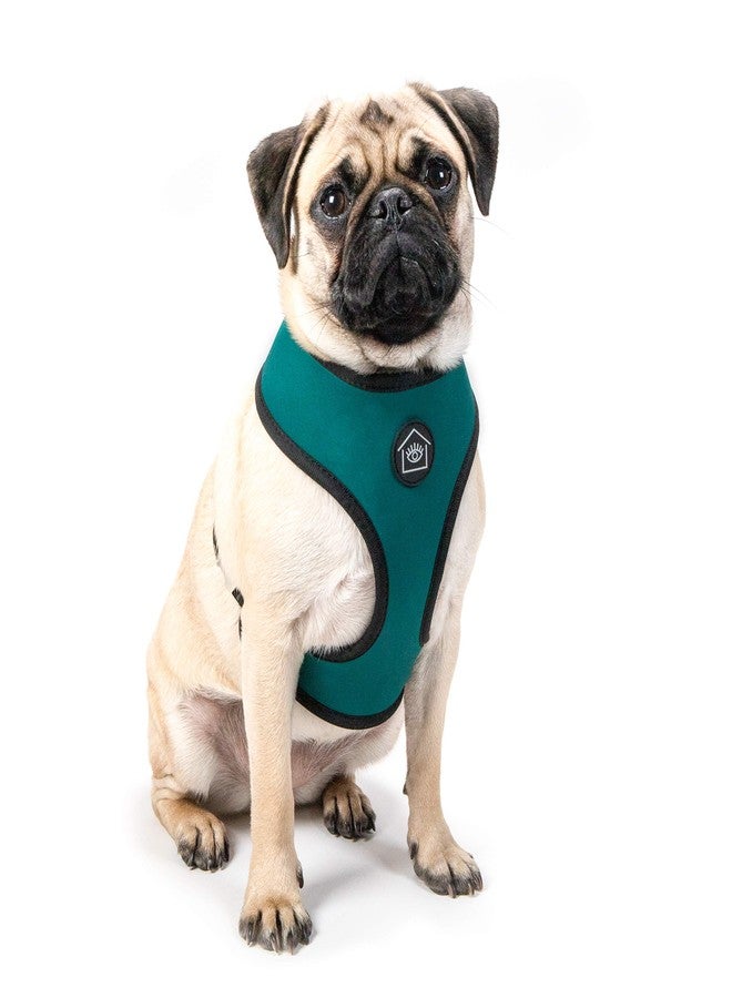 Jonathan Adler Now House for Pets by Jonathan Adler Jonathan Adler: Now House Leo Reversible Harness, Large | Stylish, Fashionable, and Functional Way to Keep Your Dog Looking Great | Adorable Dog Accessories - Image 3